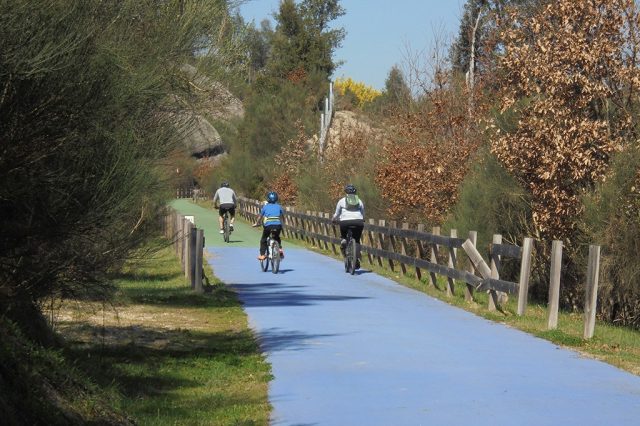 Dão greenways tour