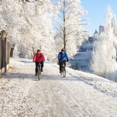 Pilsen Greenways